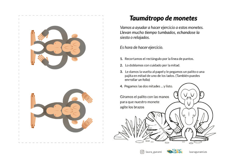 taumatopo de monetes